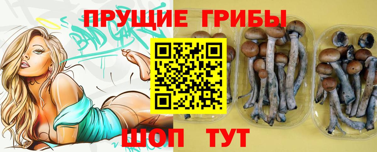 Галлюциногенные грибы Psilocybe  Вход с VPN  Коряжма 