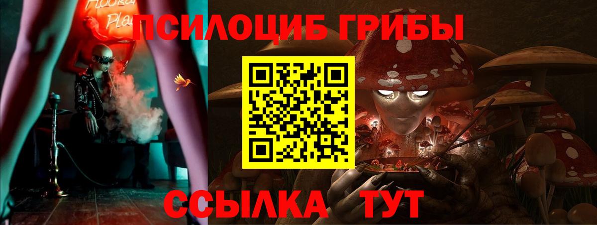 Галлюциногенные грибы Cubensis Коряжма